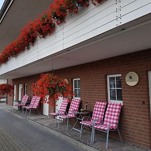 Hotel Steiner